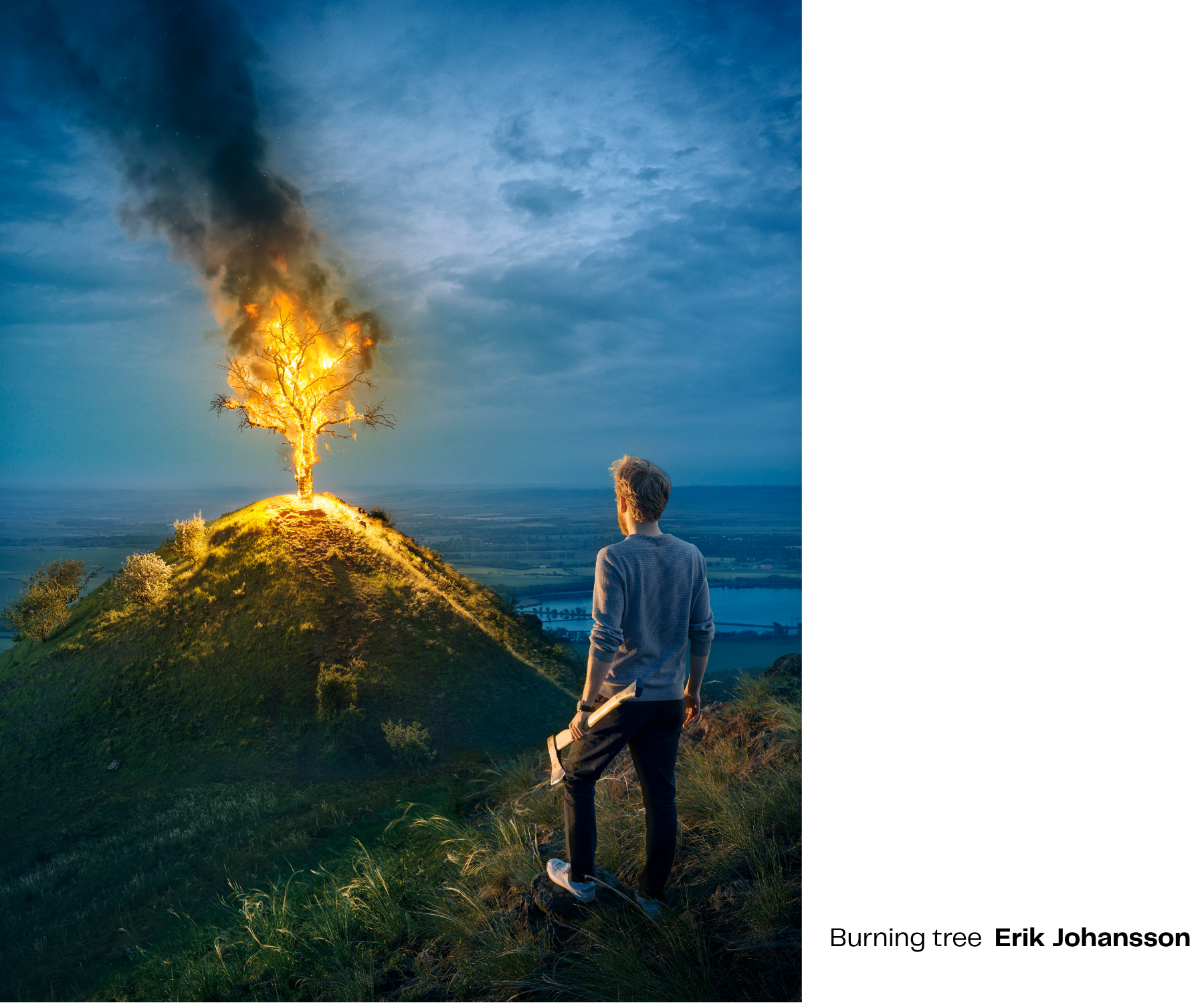 Burning tree Erik Johansson