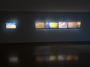 Exposition « pays des merveilles » de Nanténé Traoré, à la MEP du 30 septembre au 29 novembre 2026 : photo de l’exposition AF