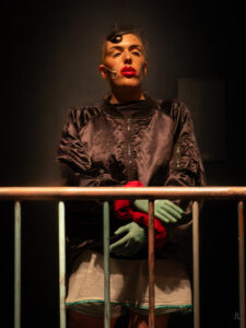 Lymph_Blood_Story©Jean Lebacq