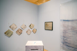© Sandrine Boyer Engel -in situ planches contact-227